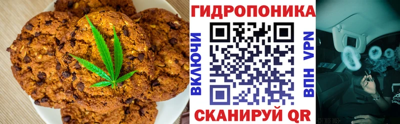 это клад  ОМГ ОМГ зеркало  Вышний Волочёк  Еда ТГК марихуана 