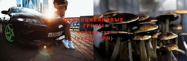 тгк Абинск