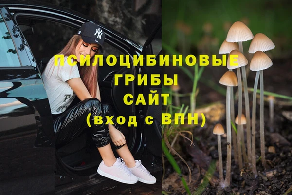 тгк Абинск