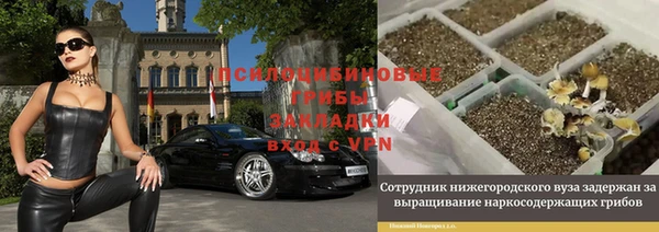 СК Семикаракорск