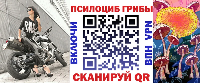 Псилоцибиновые грибы ЛСД Вышний Волочёк